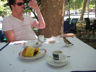 In Lisbon, I ate breakfast with a birdie